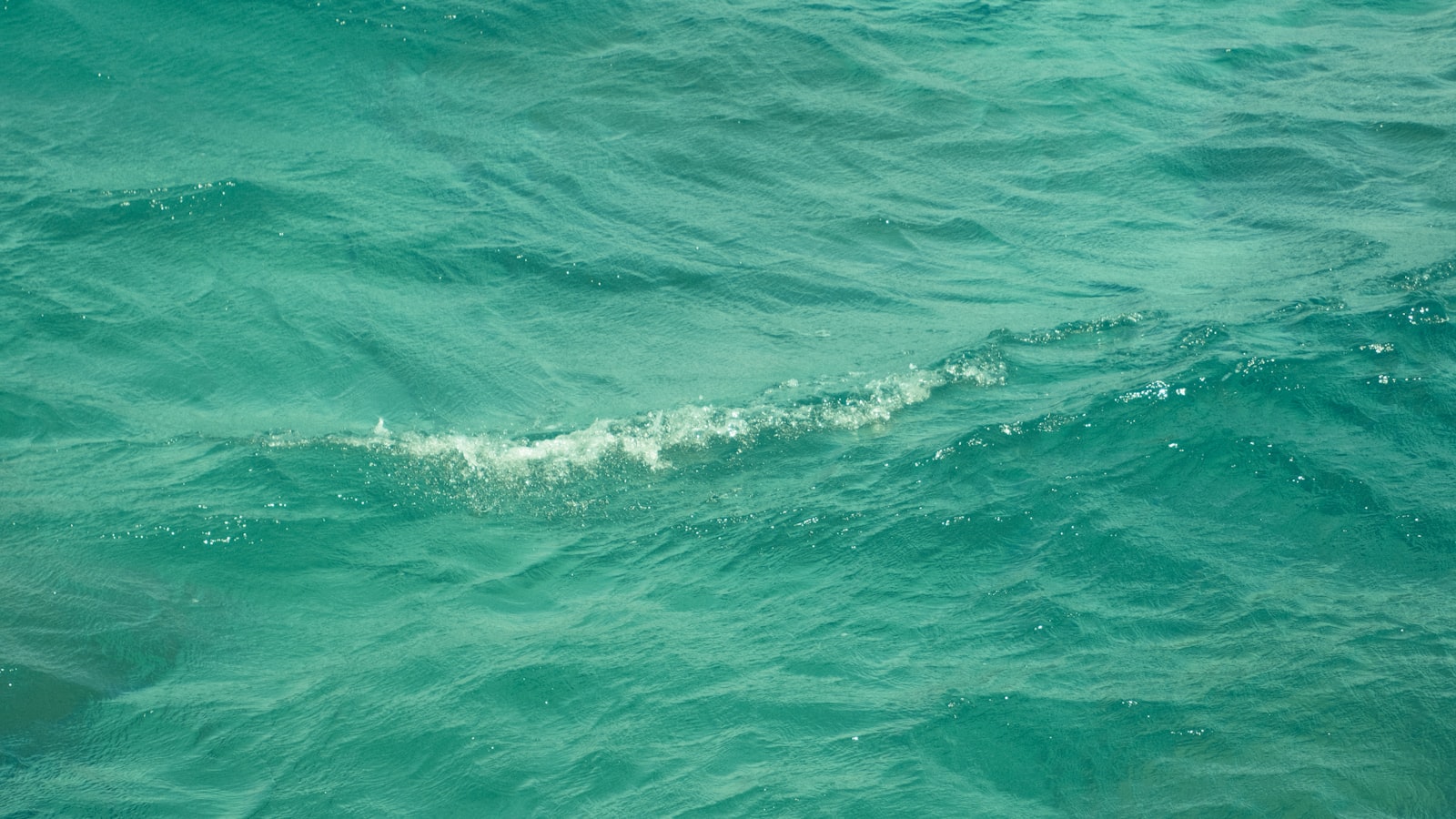 Close-up of turquoise ocean water with a small breaking wave