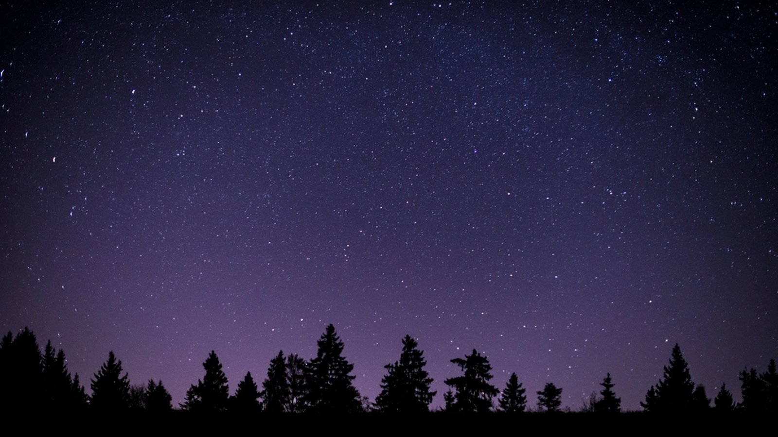 Purple-toned starry night sky fading to violet near the horizon, with a dark treeline silhouette along the bottom